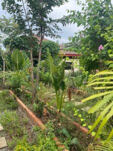 savet family homestay battambag greenery