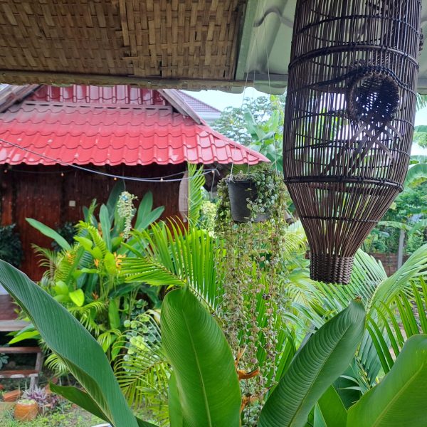 homestay battambang