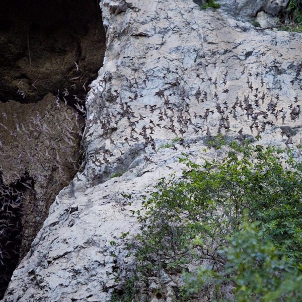 15388732_1187463254655534_1146591253_o