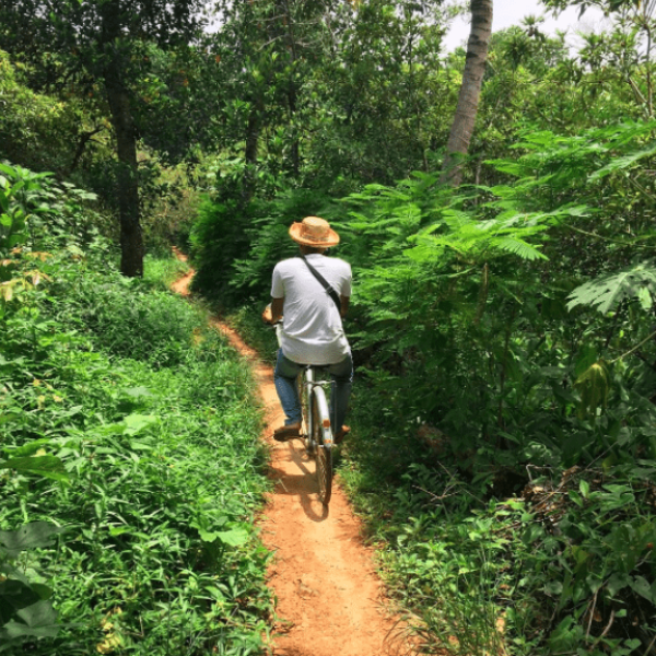 Lovely peaceful bike ride