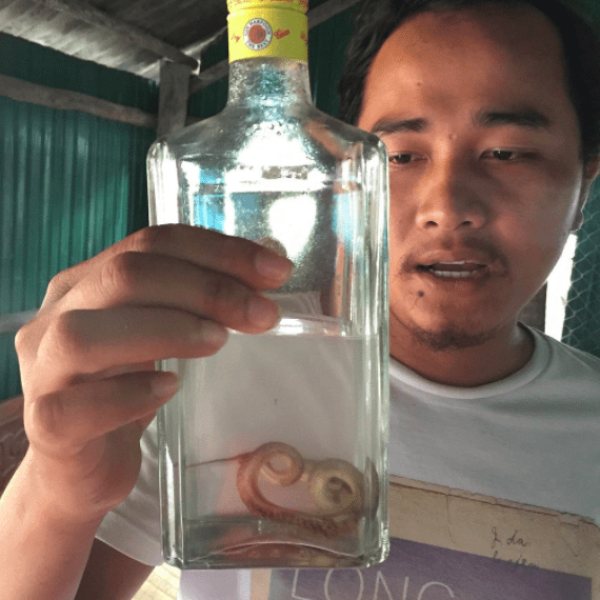 Locally made spirits