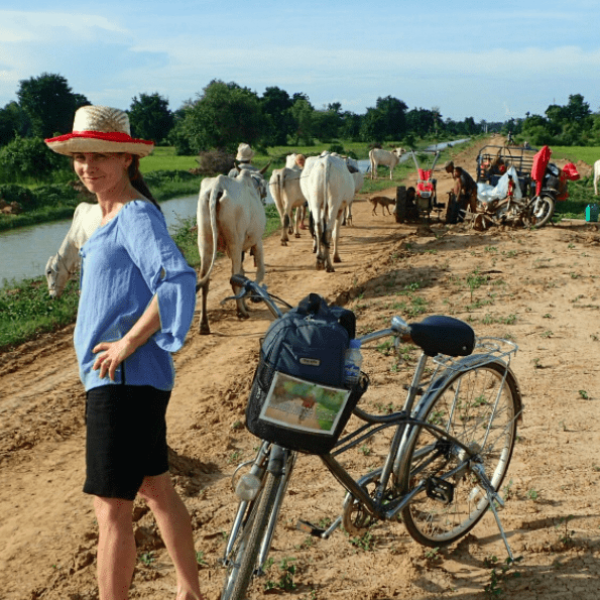 woman with bike, cows