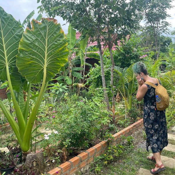 savet family homestay battambag greenery
